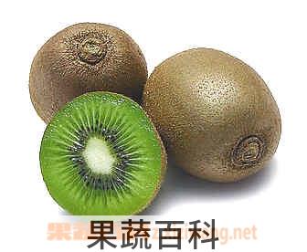 果蔬百科 猕猴桃怎么挑选