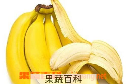 果蔬百科 香蕉皮的妙用 香蕉皮的用处介绍