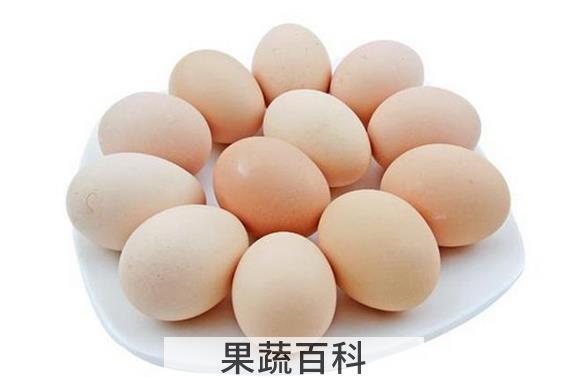果蔬百科早晨吃鸡蛋的七大理由