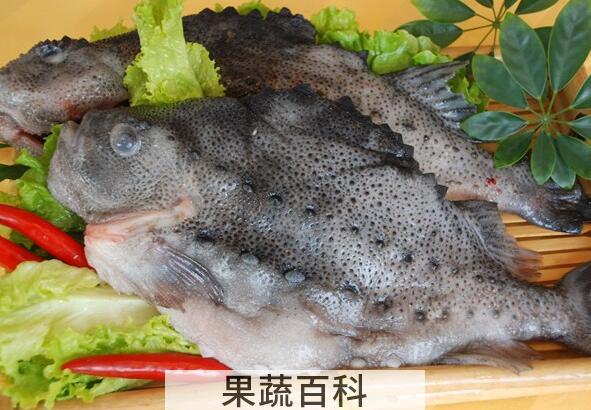 果蔬百科海参斑鱼的营养价值与功效