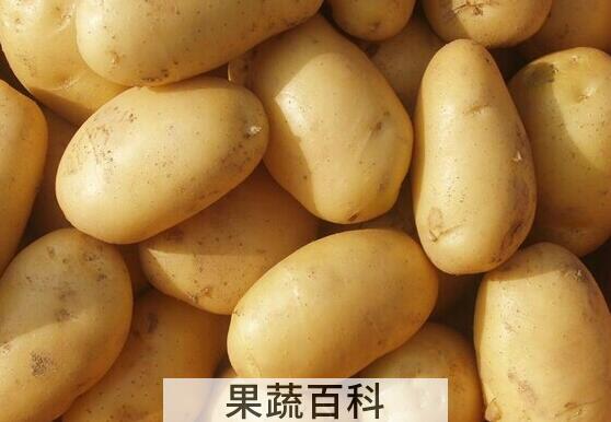果蔬百科土豆的特殊功效有哪些