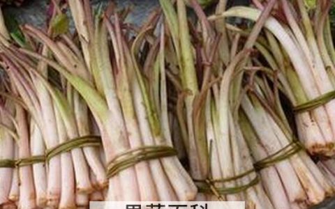 芋头杆有什么功效 芋头杆的功效与禁忌