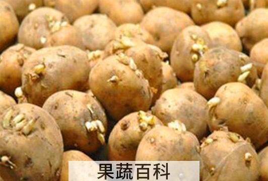 果蔬百科吃土豆的禁忌