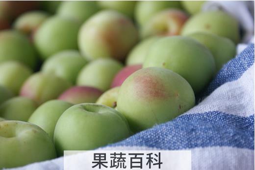 果蔬百科梅子