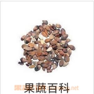 果蔬百科黄皮核的功效与作用