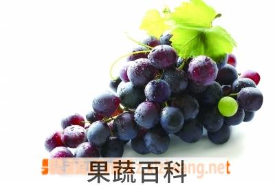 果蔬百科 葡萄皮的营养价值和功效
