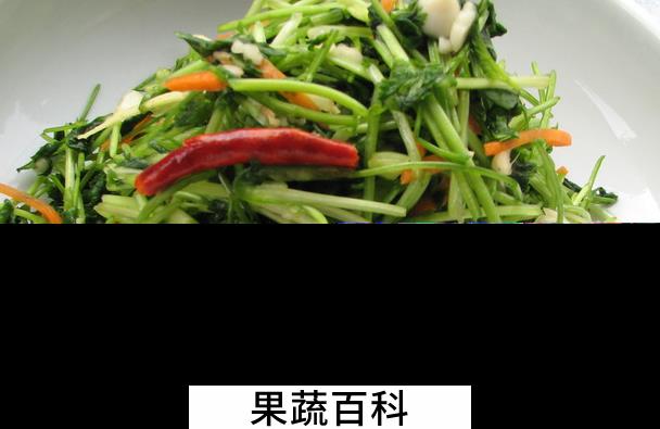 果蔬百科香菜的常见吃法
