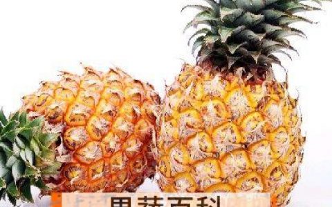 女生吃菠萝的好处和坏处 吃菠萝的好处和坏处都有哪些
