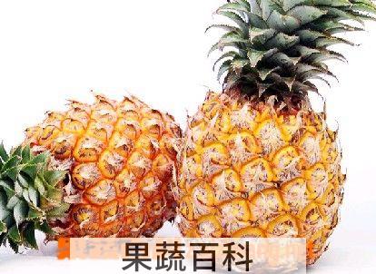 果蔬百科菠萝