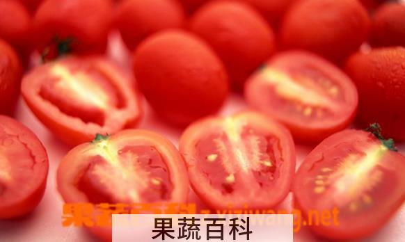 果蔬百科吃西红柿的好处和坏处