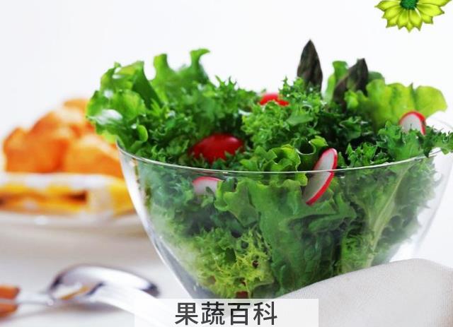 果蔬百科吃素食的坏处 素食主义的坏处