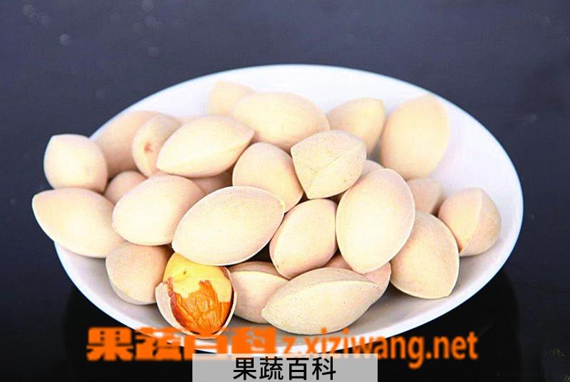 果蔬百科吃白果的坏处