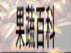 果蔬百科栗子