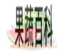 果蔬百科西瓜