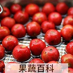 果蔬百科吃山楂的坏处 空腹吃山楂胃里长石头
