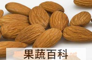 果蔬百科杏仁