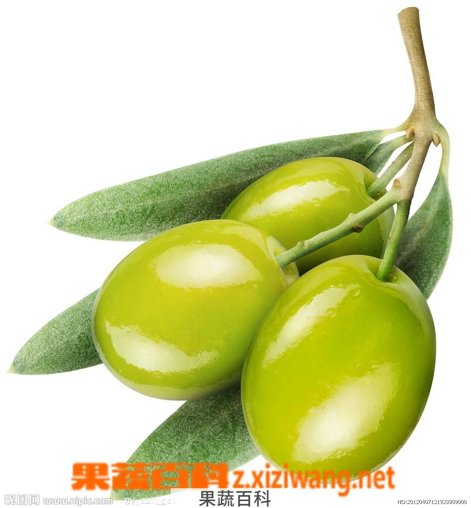 果蔬百科橄榄