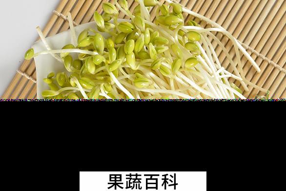 果蔬百科豆芽的食疗功效与用法