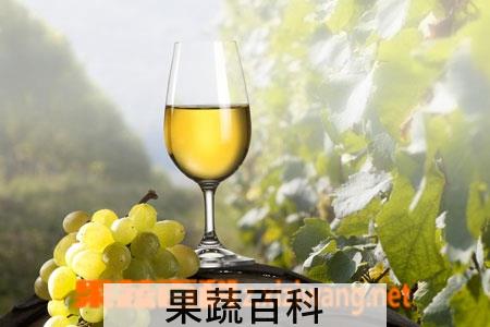 果蔬百科葡萄酒