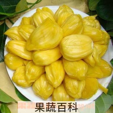 果蔬百科菠萝蜜