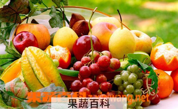果蔬百科水果