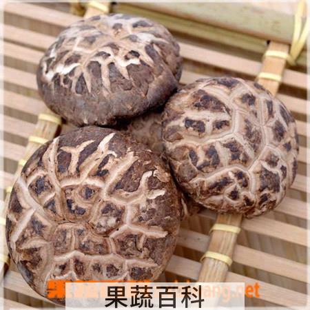 果蔬百科东北椴木花菇辨别方法