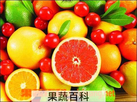 果蔬百科水果