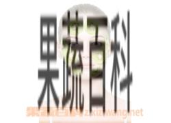 果蔬百科水果面膜