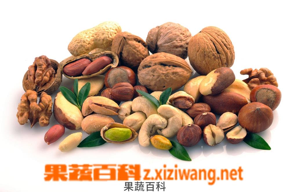 果蔬百科干果