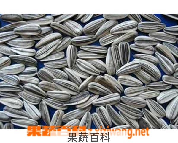 果蔬百科五香瓜子