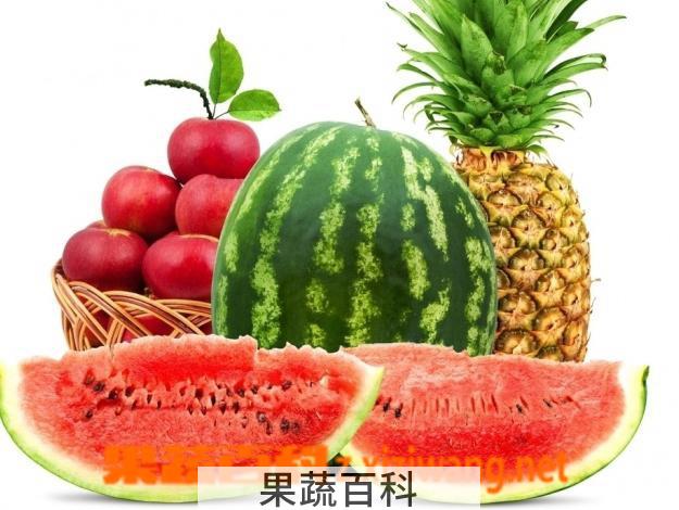 果蔬百科水果
