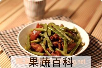 果蔬百科豆角炖肉怎么做