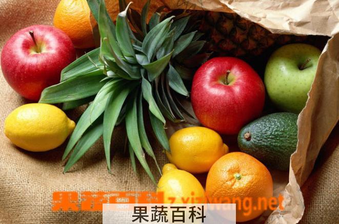 果蔬百科水果