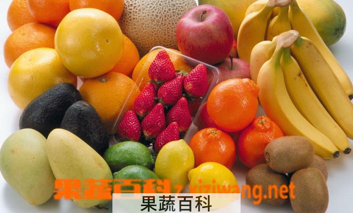果蔬百科水果