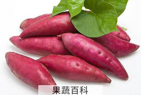 果蔬百科秋天吃红薯的好处有哪些