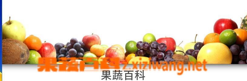 果蔬百科水果