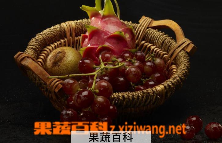 果蔬百科水果