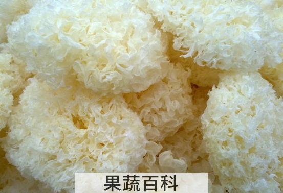 果蔬百科秋天吃什么好