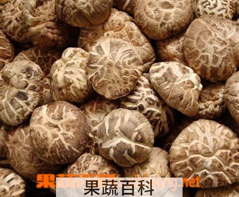 果蔬百科香菇