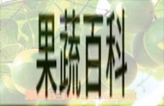 果蔬百科罗汉果