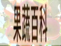 果蔬百科沙果