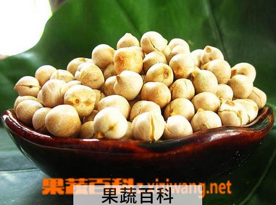 果蔬百科鹰嘴豆的功效与做法