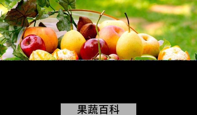 果蔬百科水果
