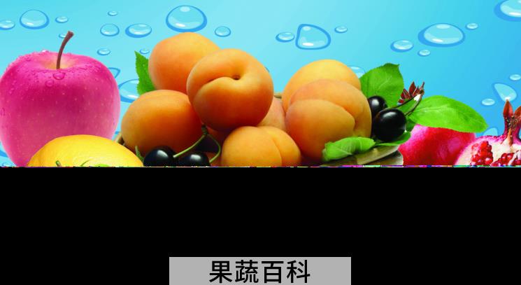 果蔬百科水果