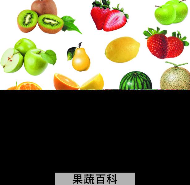 果蔬百科水果