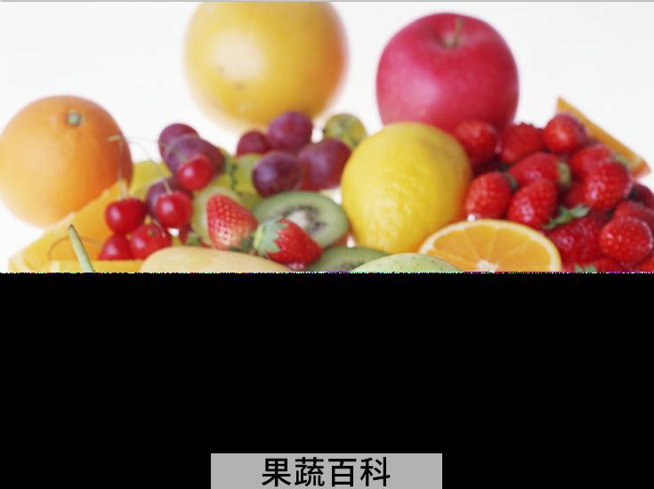 果蔬百科水果