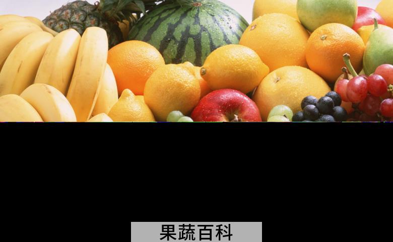 果蔬百科水果