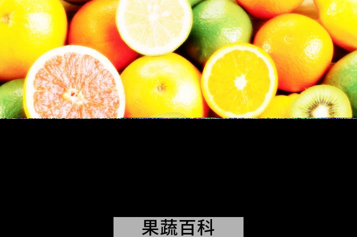 果蔬百科水果
