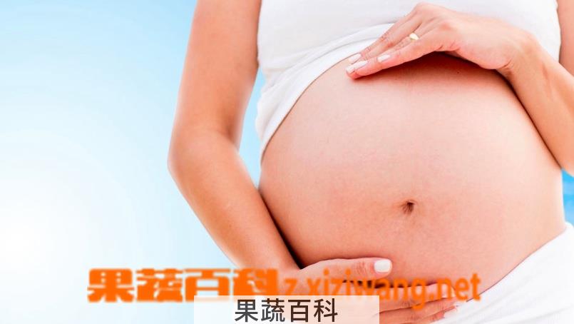 果蔬百科孕妇补钙的食物有哪些