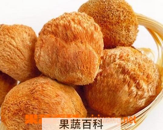 果蔬百科新鲜猴头菇怎么吃